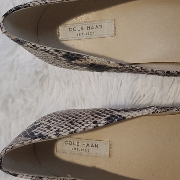 Cole Haan | snake skin heel | sz 9 - Picture 9 of 9